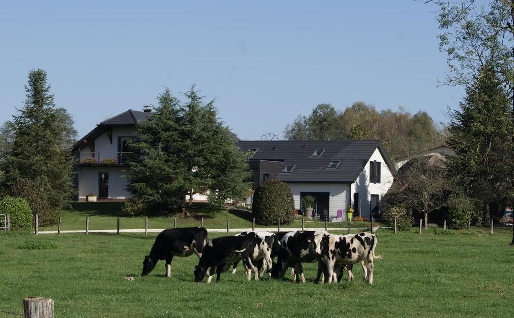 La Noue Aubain Bed and Breakfast Corbenay Esterno foto